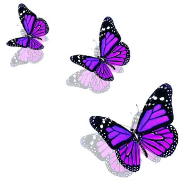 C:\Users\School\Desktop\РОЗРОБКИ\картинки\depositphotos_66647383-stock-photo-beautiful-violet-butterflies.png